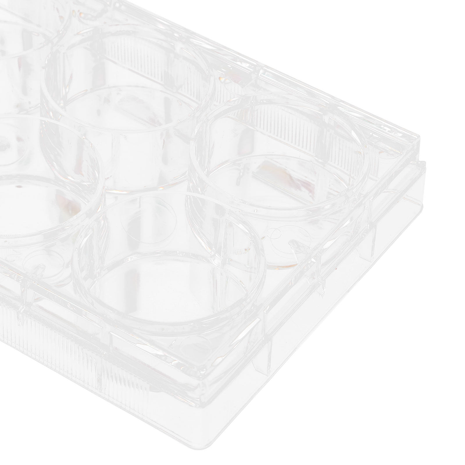 Zellkulturplatte mit 6 Vertief – Lab Equipment Bewertung und Preis